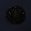 Miniatura de foto de flor canutillo rocalla negro