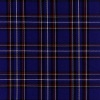 Miniatura de foto de Tela cuadro escocés azul
