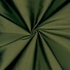 Miniatura de foto de Seda salvaje liso verde