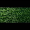 Miniatura de foto de Tul encaje 100 mm verde claro