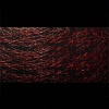 Miniatura de foto de Tul encaje 100mm rojo escarlata
