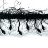 Miniatura de foto de fleco pelo-piedra negro