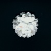 Miniatura de foto de flor antelina 4 cm. blanco