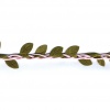 Miniatura de foto de cordón encerado rosa tira hojas 