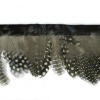 Miniatura de foto de fleco plumas puntos negro-gris