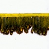 Miniatura de foto de fleco plumas amarillo