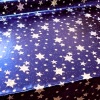 Miniatura de foto de Estrellas azul plata