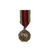 Miniatura de foto de Bbroche insignia militar oro viejo