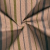 Miniatura de foto de Canutillo beige con líneas verdes y azules