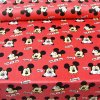 Miniatura de foto de Coralina roja caras de Mickey Mouse