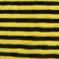 Miniatura de foto de Pelo colores abeja amarillo, negro