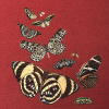 Miniatura de foto de Cuadrante de cretona rojo, mariposas (par)