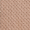 Miniatura de foto de Coralina lisa textura beige