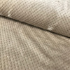 Miniatura de foto de Coralina lisa textura beige