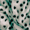 Miniatura de foto de Pelo blanco y negro dálmata