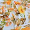 Miniatura de foto de Satén estampado flores grandes naranjas