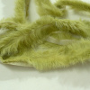 Miniatura de foto de Vivo piel de conejo color verde