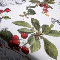Miniatura de foto de Loneta antimanchas estampado digital cerezas