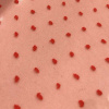 Miniatura de foto de Organza cristal plumeti rojo