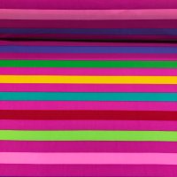 Miniatura de foto de Lycra baño mate estampado rayas multicolor