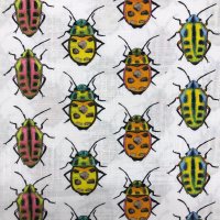 Miniatura de foto de Algodón fondo blanco escarabajo multicolor