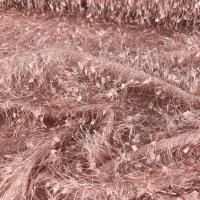 Miniatura de foto de Punto de flecos pluma rosa