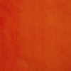 Miniatura de foto de Pelo liso naranja
