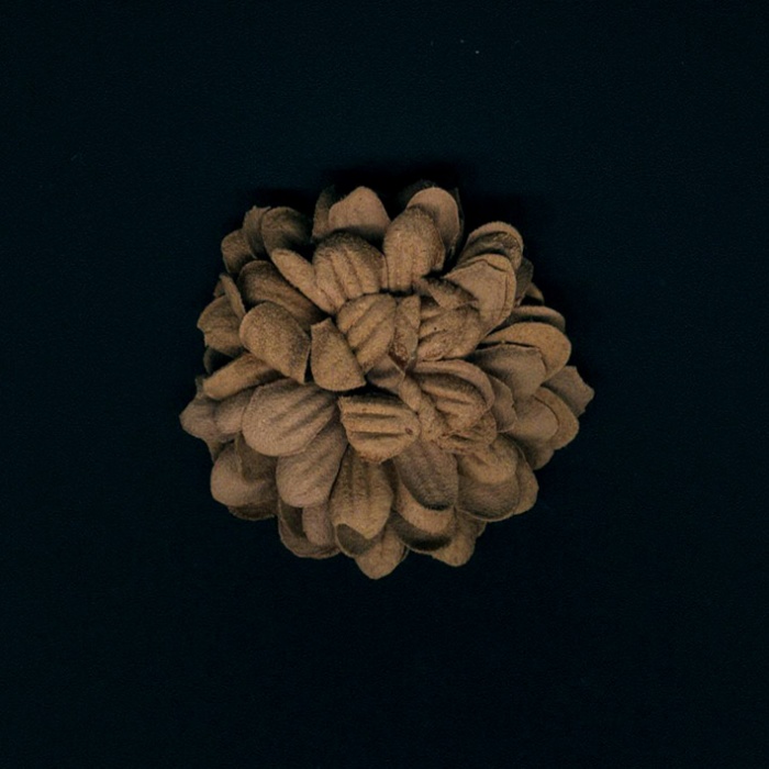 Foto de flor antelina 4 cm. beige
