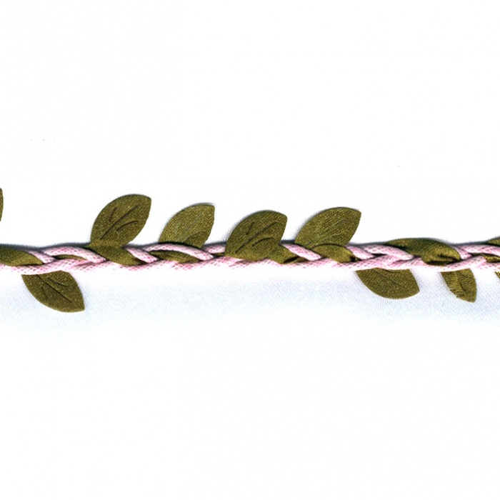 Foto de cordón encerado rosa tira hojas 