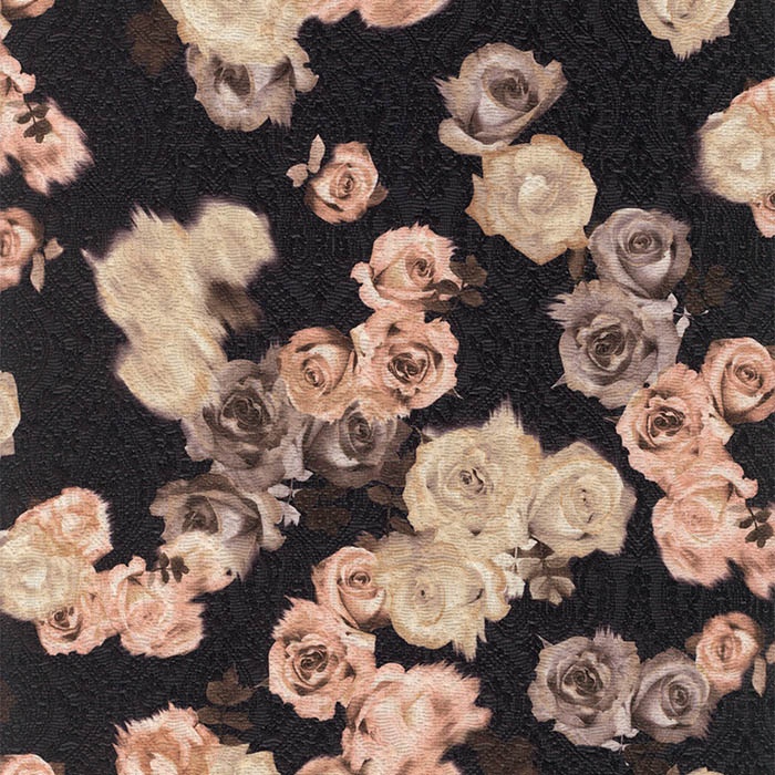 Foto de Punto negro elástico estampado rosas blancas y rosa