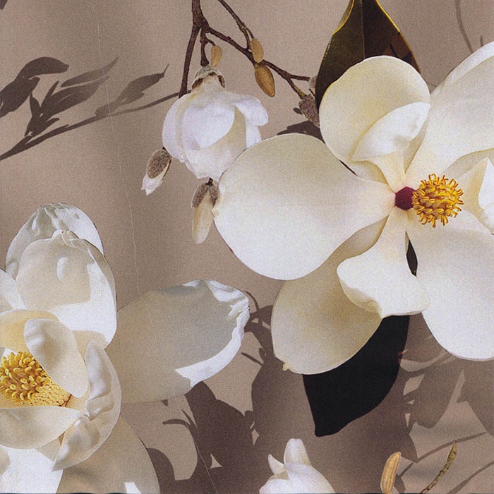 Foto de Satén estampado gris con flores blancas grandes
