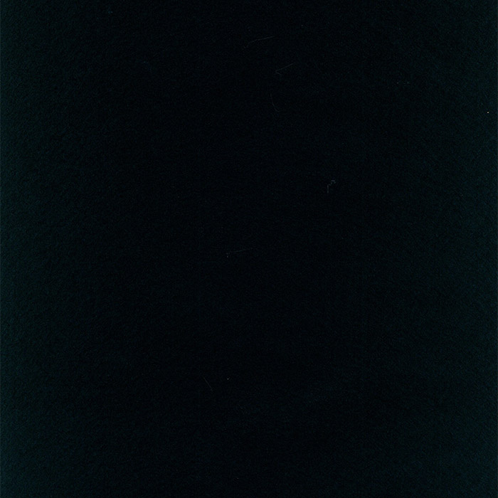 Fieltrina negro