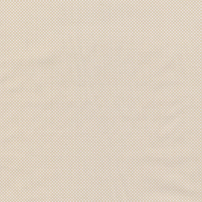 Foto de Popelín de algodon fondo beige lunar mini blanco