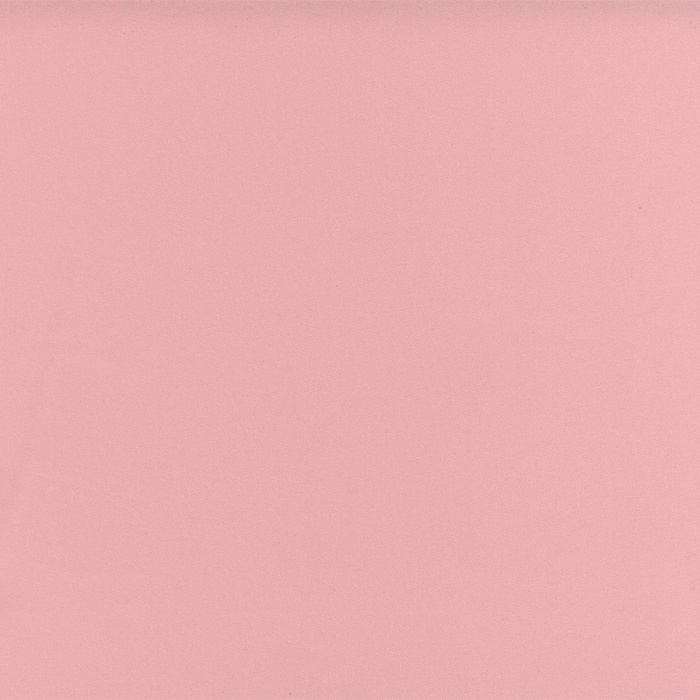 Foto de Bielástica petalo di rosa rosa palo