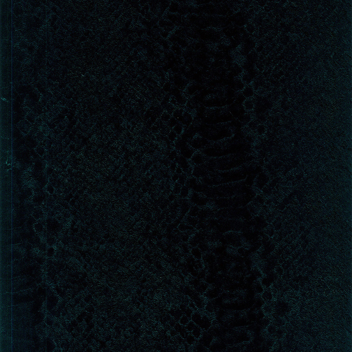 Foto de Mutón doble cara negro serpiente interior negro