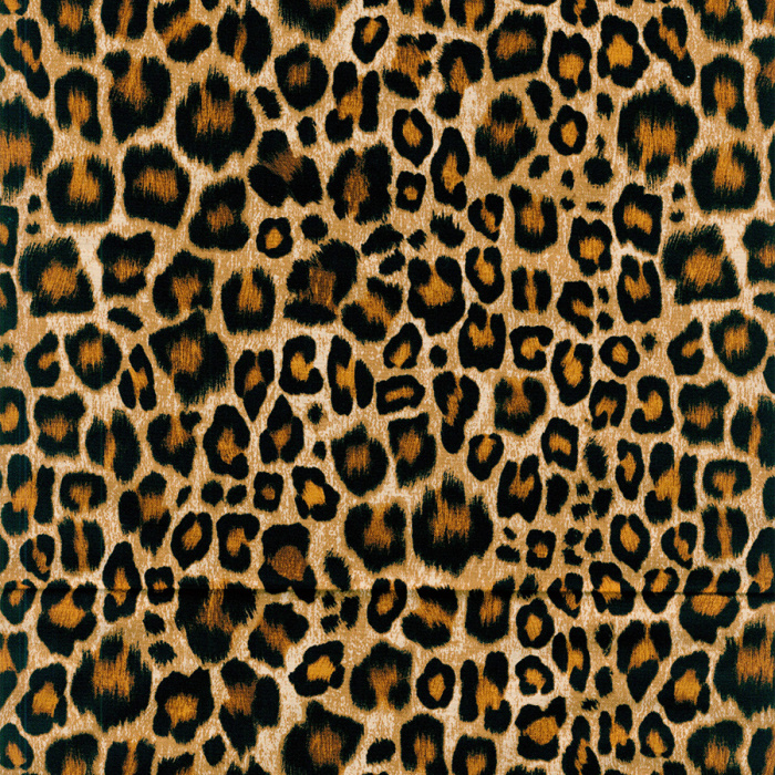 Foto de Patchwork leopardo marrón